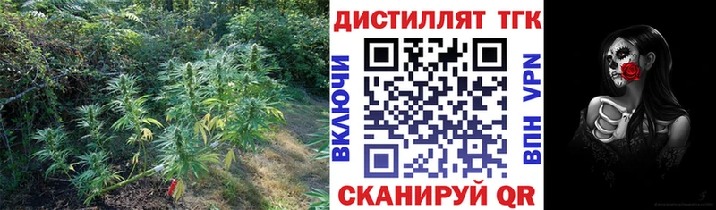 Дистиллят ТГК THC oil  blacksprut ССЫЛКА  Петровск  закладки 